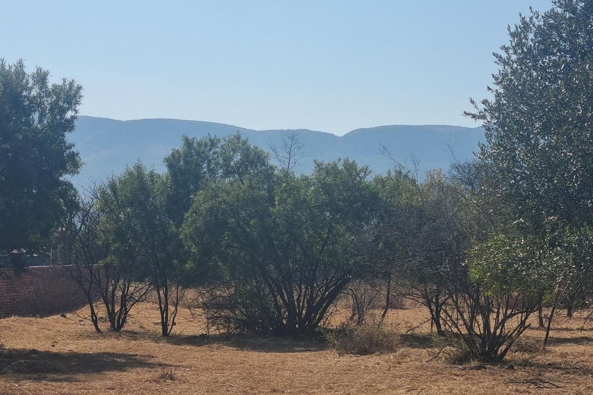 MOST BEAUTIFUL STAND IN LA CAMARGUE PRIVATE COUNTRY ESTATE!! - Photo 4