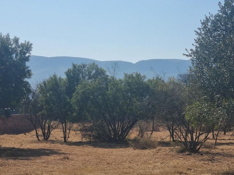 MOST BEAUTIFUL STAND IN LA CAMARGUE PRIVATE COUNTRY ESTATE!! - Photo 4