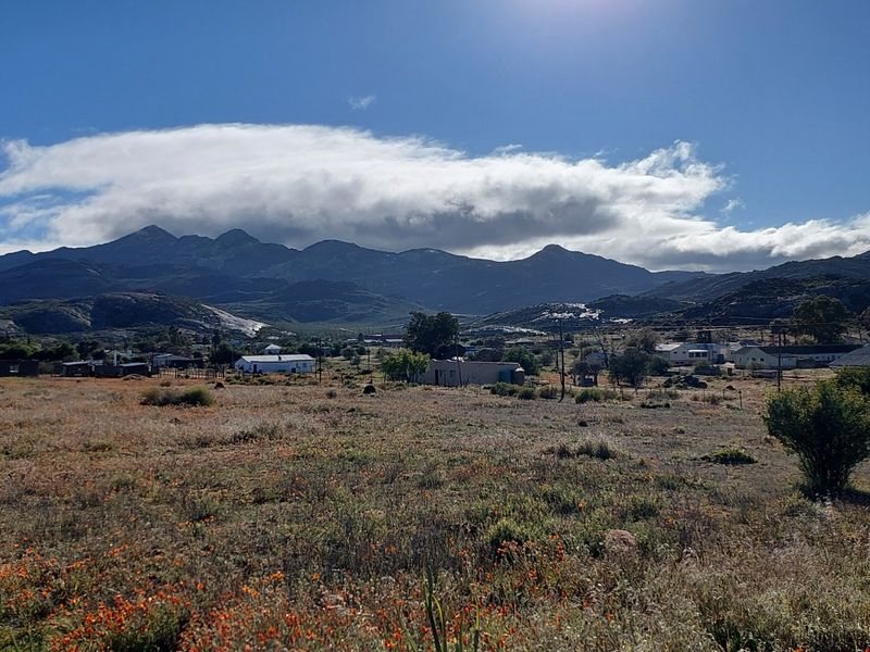 A Romantic Retreat in the Heart of Namaqualands Flower Paradise  - Photo 5