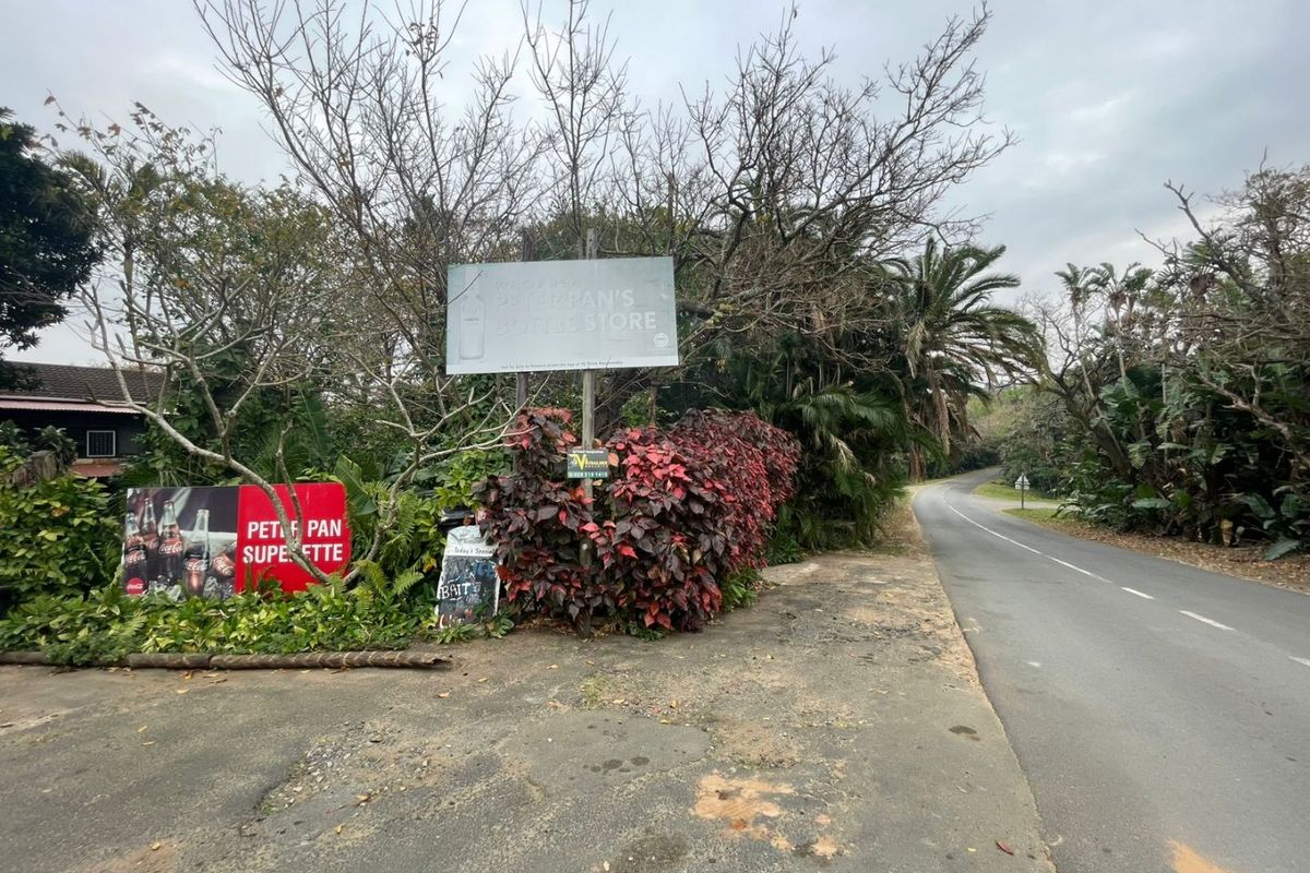 A street-level view of the property frontage featuring mature trees, landscaped verge, and direct access to the adjacent asphalt road.