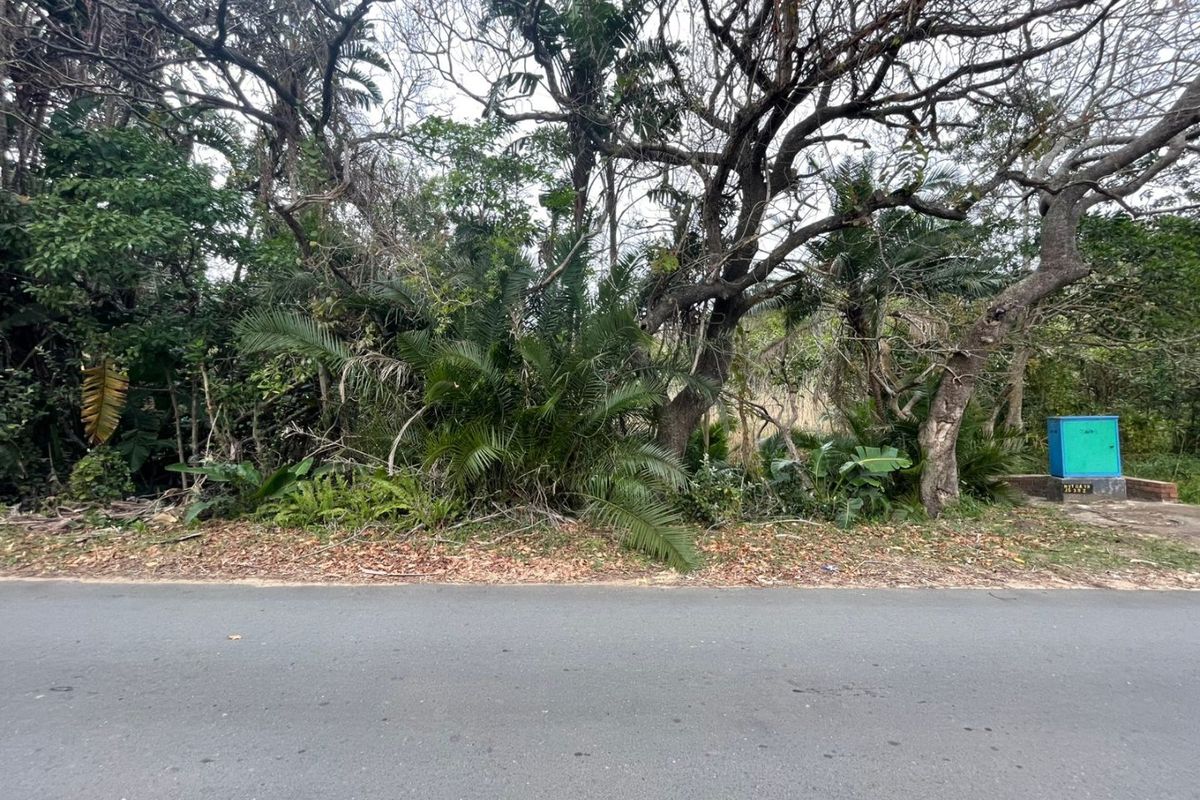 Street view of a vacant residential plot featuring mature trees and vegetation along the roadside with an existing utility connection point.