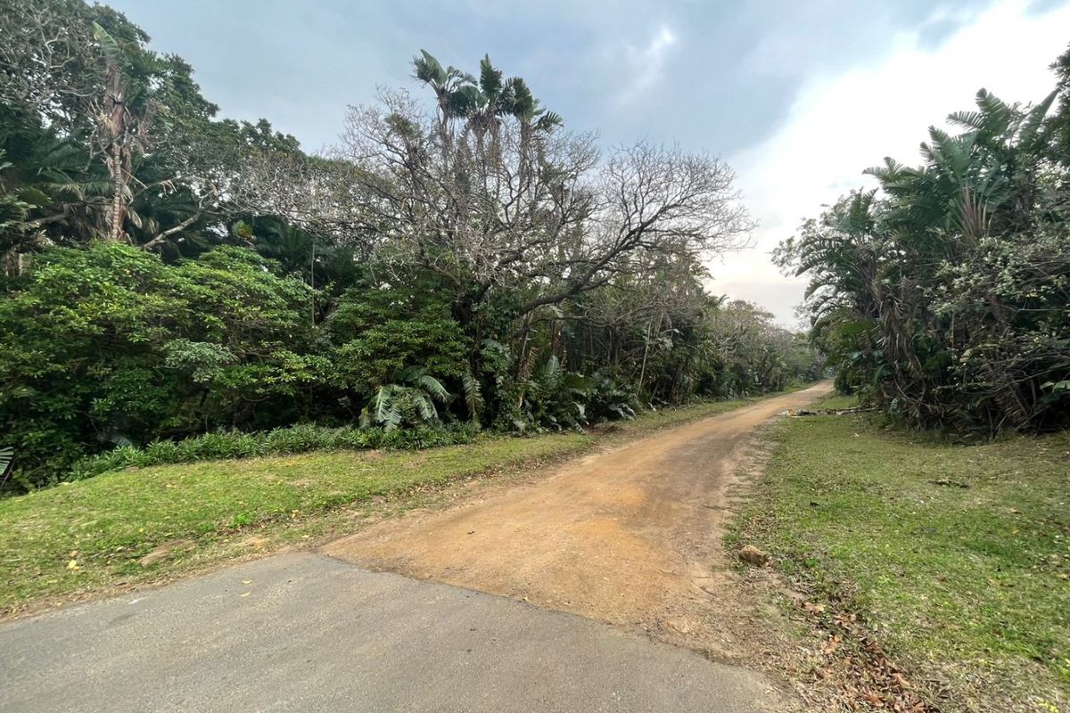 A view of an unpaved access road leading into a densely vegetated residential plot.