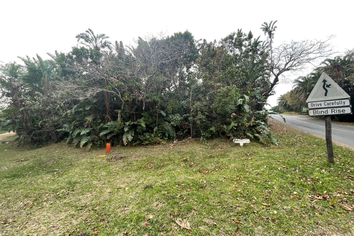 A view of the street frontage and verge area featuring mature vegetation and roadside signage adjacent to the residential land.