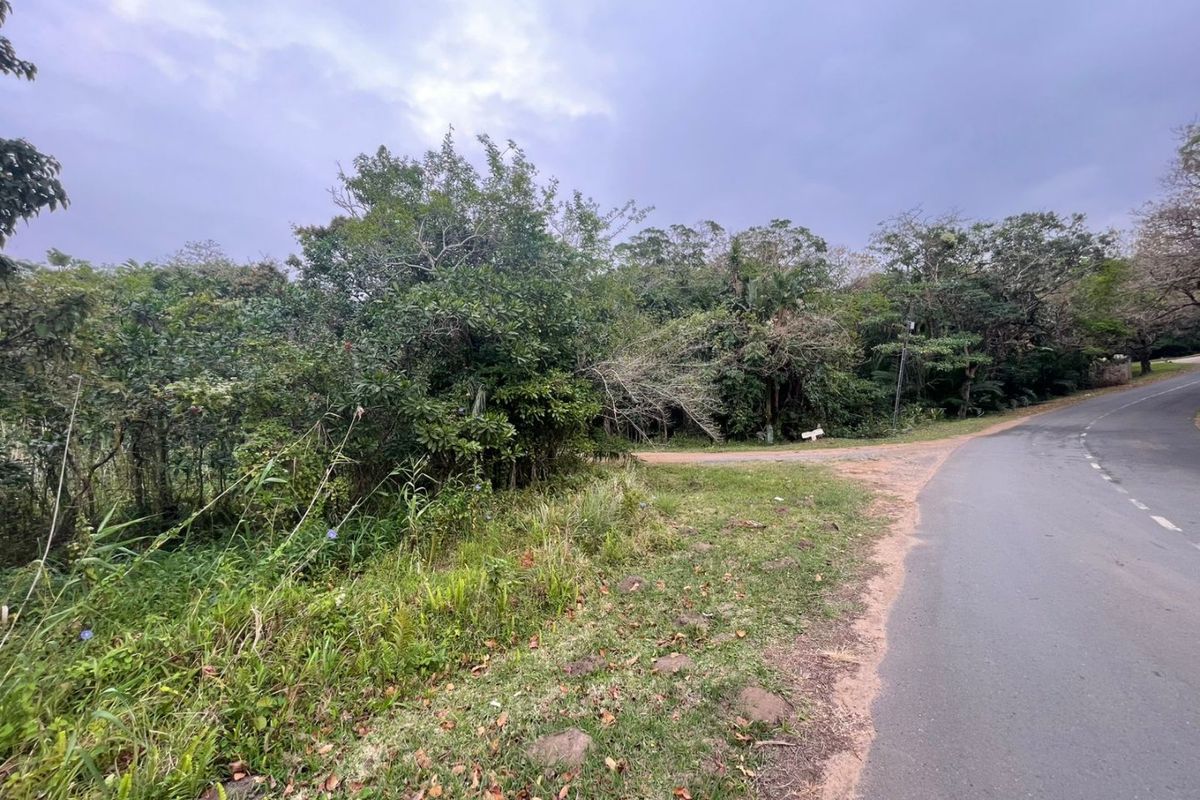 A view of the street frontage and verge adjacent to the vacant residential land, featuring established trees and dense natural vegetation.