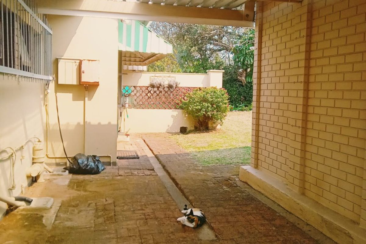 Spacious Coastal home  with flatlets with Magnificent Ocean Views – St. Michaels on Sea - Photo 5