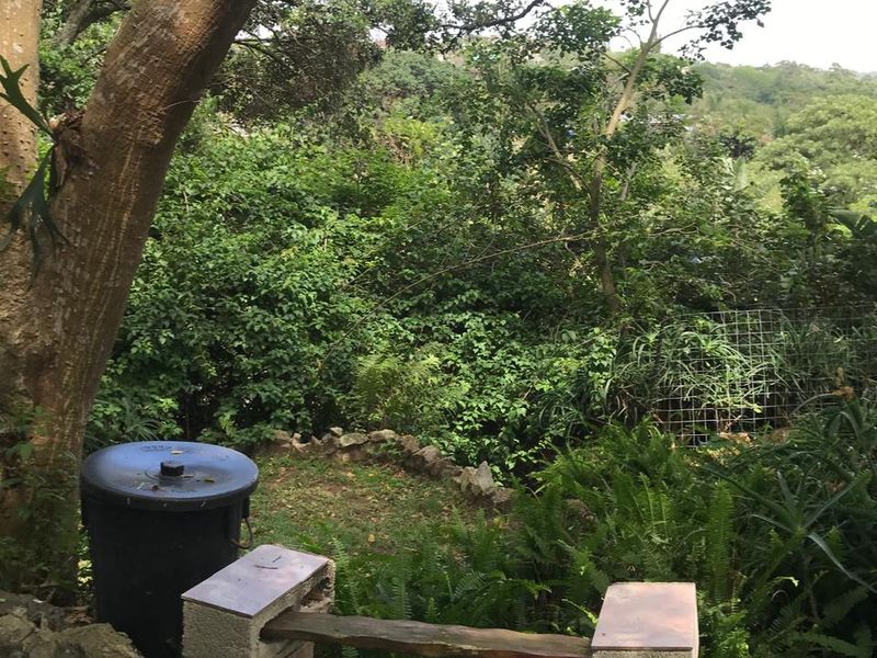 Cozy Margate Flat with Fibre and Garden Views - Photo 7