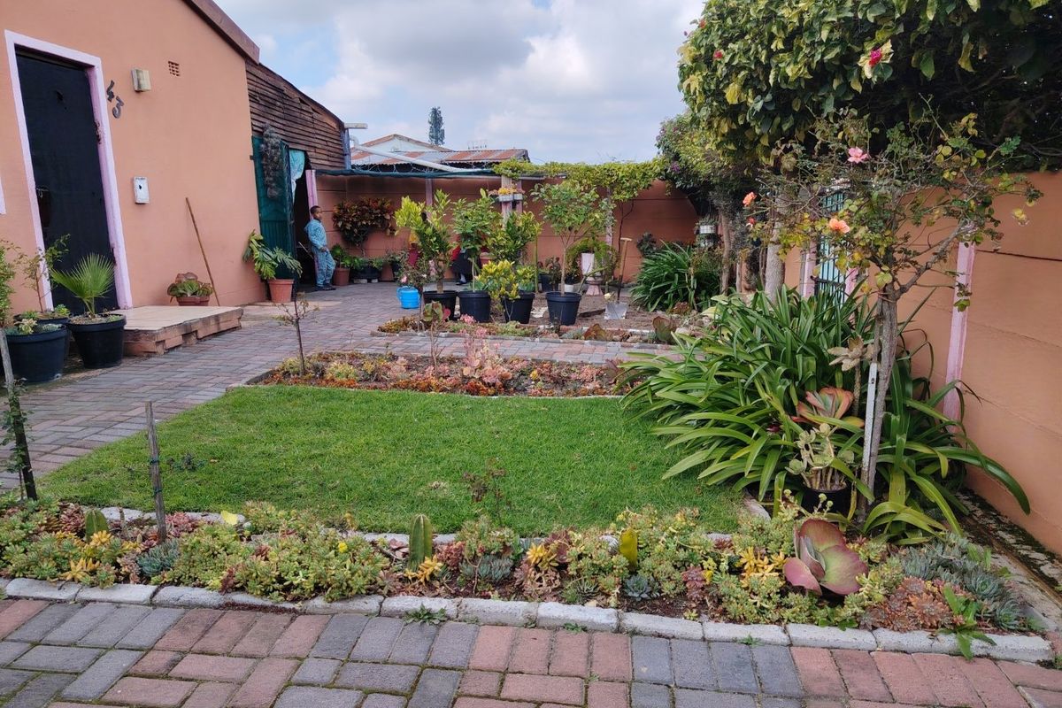 Beautiful Two Bedroom House with Massive Ground  - Photo 2