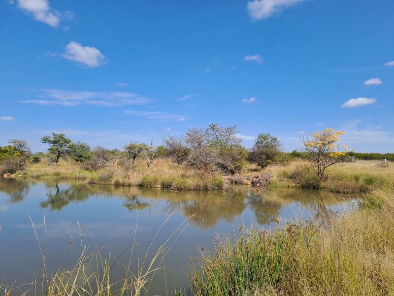 Business and commercial oppertuanity Filling station with shops and liquor license for Sale Dinokeng Big 5 game reserve,  never to be seen again  - Photo 7