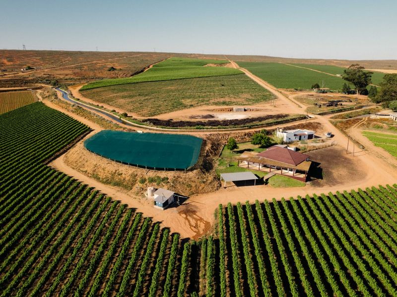 Top producing wine farm For Sale on the banks of the Olifants River. - Photo 2