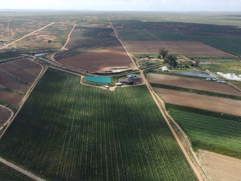 Top producing wine farm For Sale on the banks of the Olifants River. - Photo 10