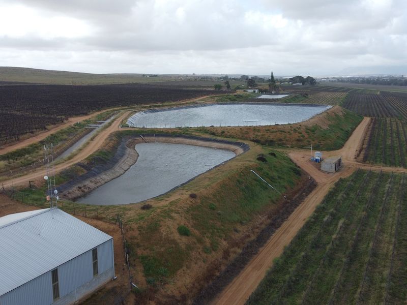 Top producing wine farm For Sale on the banks of the Olifants River. - Photo 8