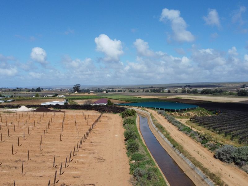 Top producing wine farm For Sale on the banks of the Olifants River. - Photo 5