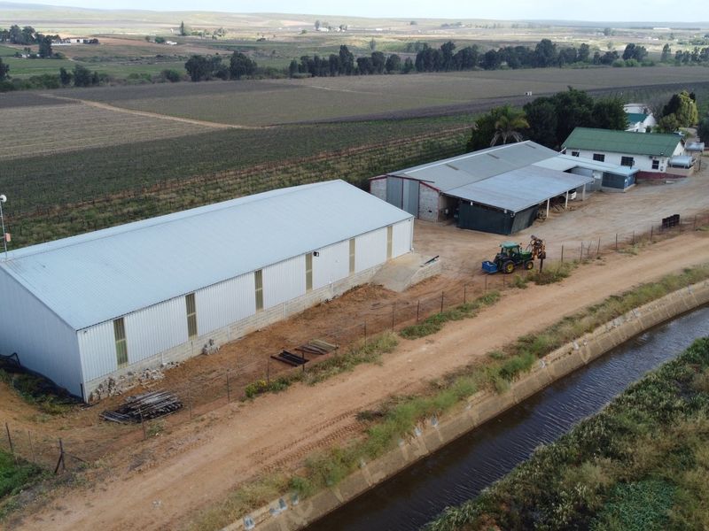 Top producing wine farm For Sale on the banks of the Olifants River. - Photo 9