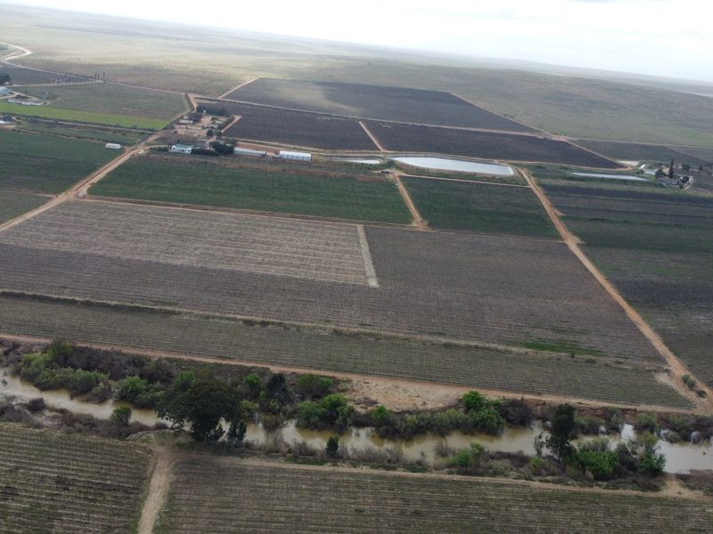 Top producing wine farm For Sale on the banks of the Olifants River. - Photo 6