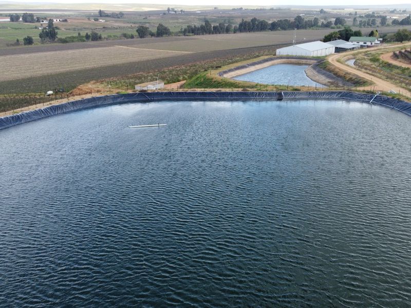 Top producing wine farm For Sale on the banks of the Olifants River. - Photo 3