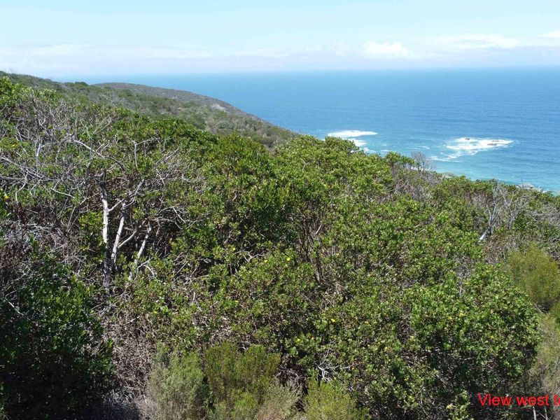 A Seaside Sanctuary with Unrivalled Views in Brenton-on-Sea - Photo 9
