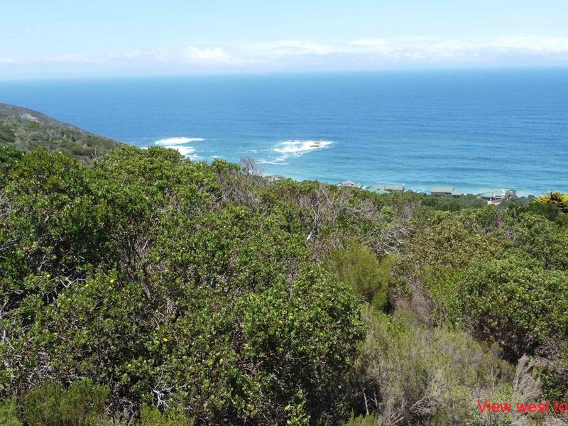 A Seaside Sanctuary with Unrivalled Views in Brenton-on-Sea - Photo 8
