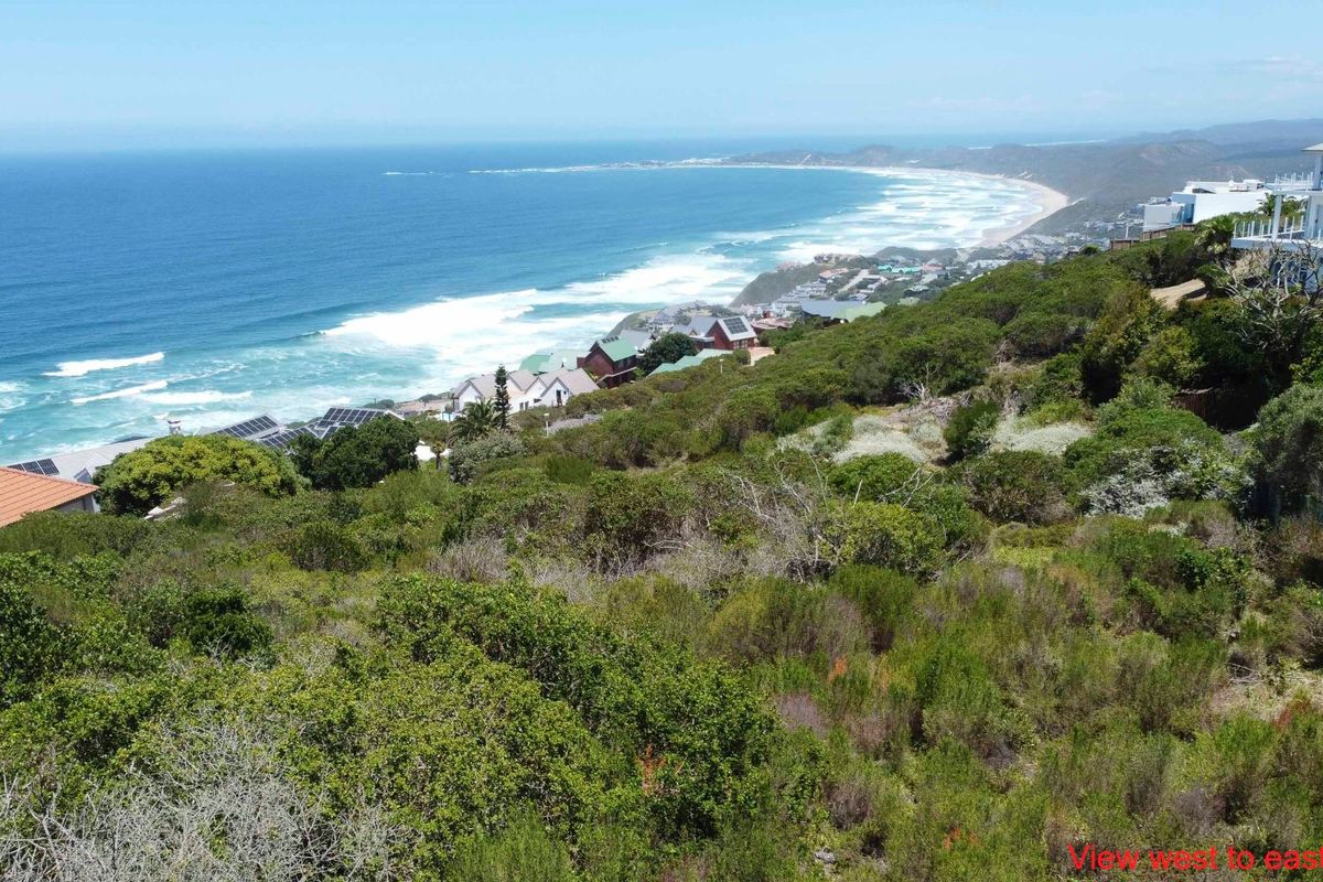 Elevated coastal view overlooking the ocean, surrounding residential properties, and natural vegetation, showcasing the prime location of the vacant land.