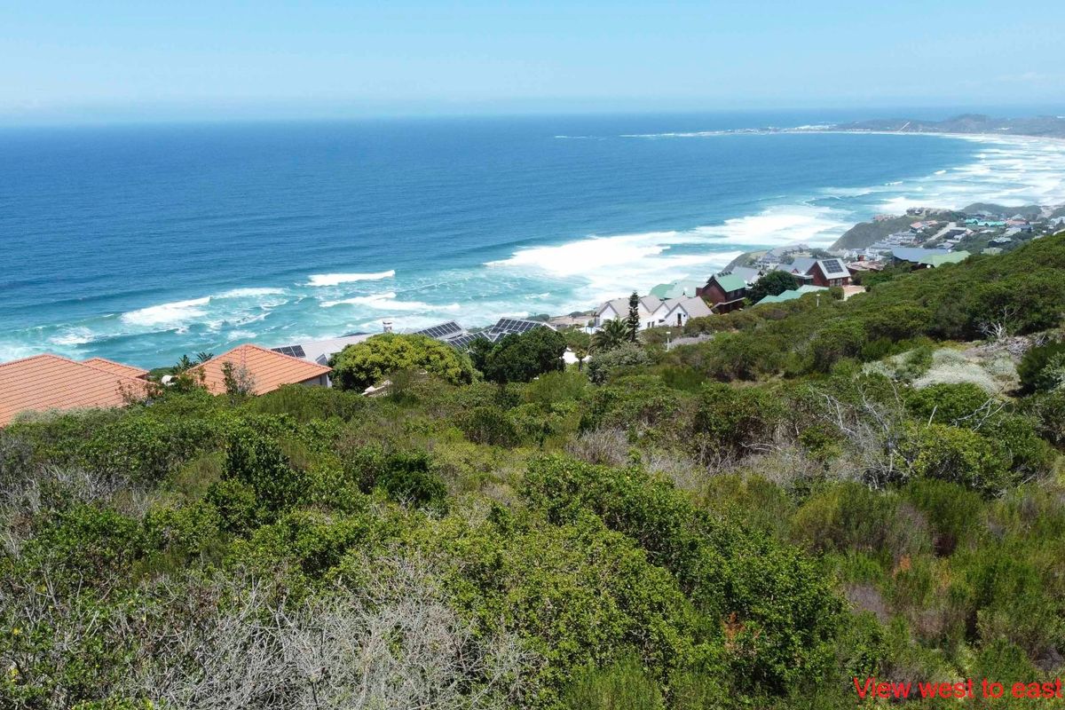 Elevated coastal view overlooking the ocean, surrounding residential properties, and natural vegetation from the vacant land plot.