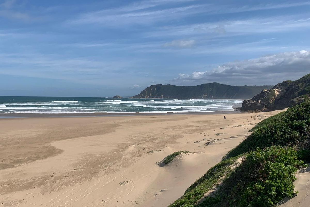 Stylish & Serene Family Gem in Cola Beach - Photo 4