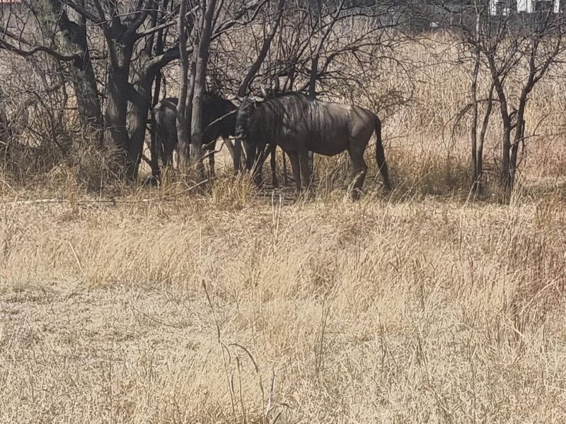 BEAUTIFUL STAND IN CUL DE SAC - Photo 8