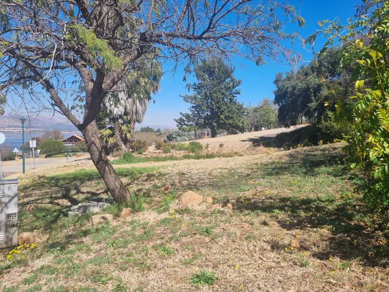 A view of a sloped residential plot featuring mature trees and natural landscaping with a distant view of the surrounding area.