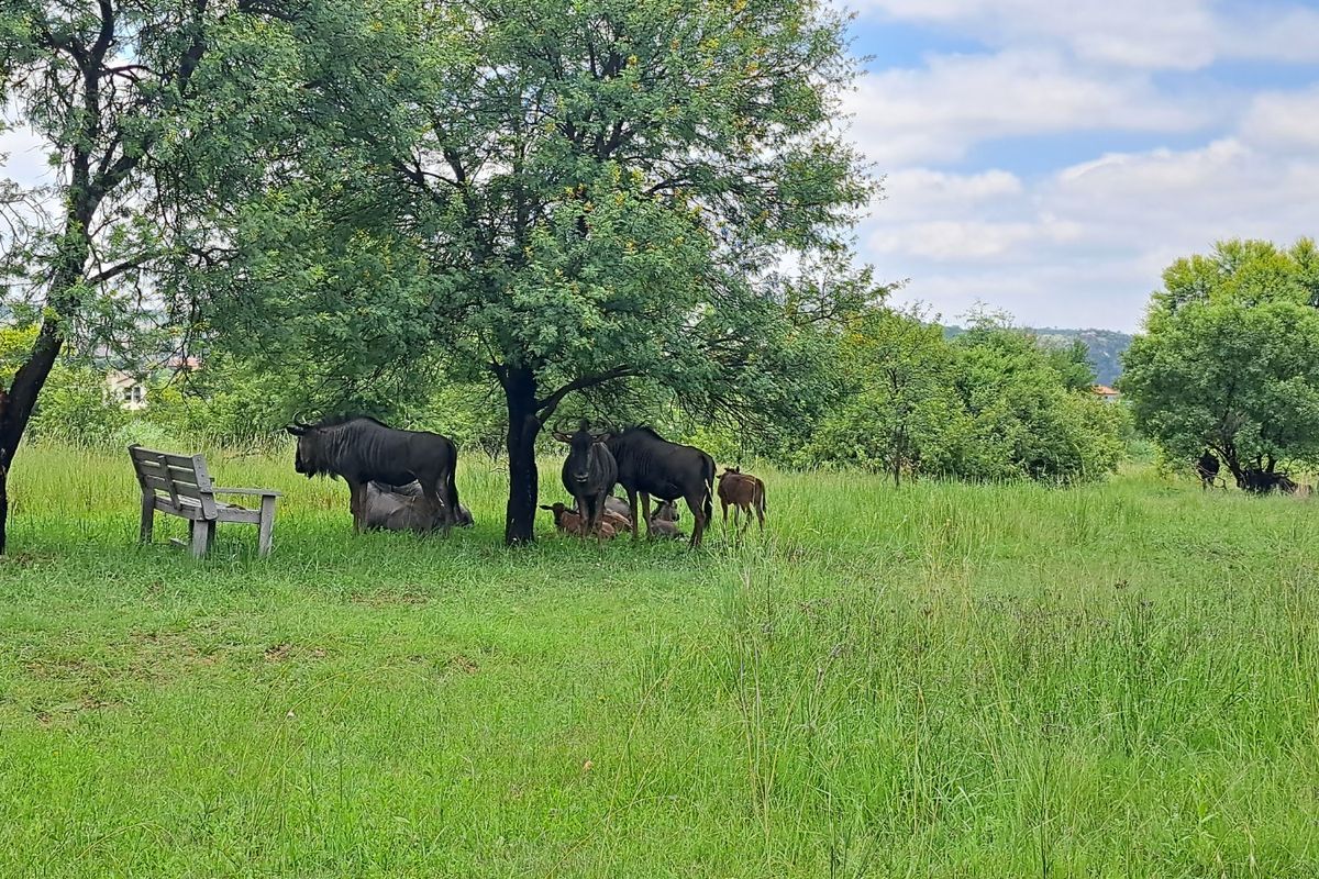 A view of a lush, green residential plot featuring mature trees and open grassland, providing a natural and tranquil setting.