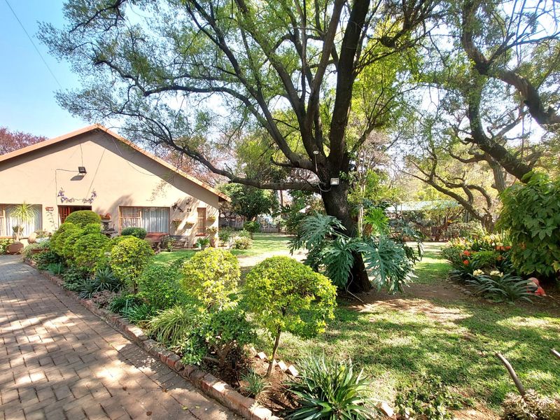 A well-maintained garden featuring mature trees, landscaped shrubbery, and a paved driveway leading to the side of the house.