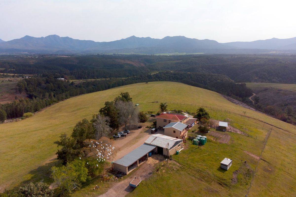 Farm for Sale near Sedgefield – 59.2 ha with Spectacular Outeniqua Views - Photo 5