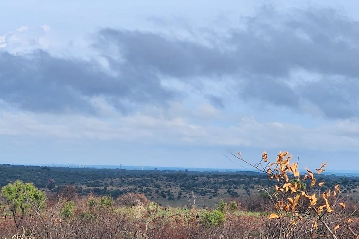 Prime 21 hectares of vacant land with borehole for sale in Dinokeng Big 5 area - Photo 2