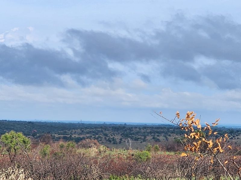 Prime 21 hectares of vacant land with borehole for sale in Dinokeng Big 5 area - Photo 2