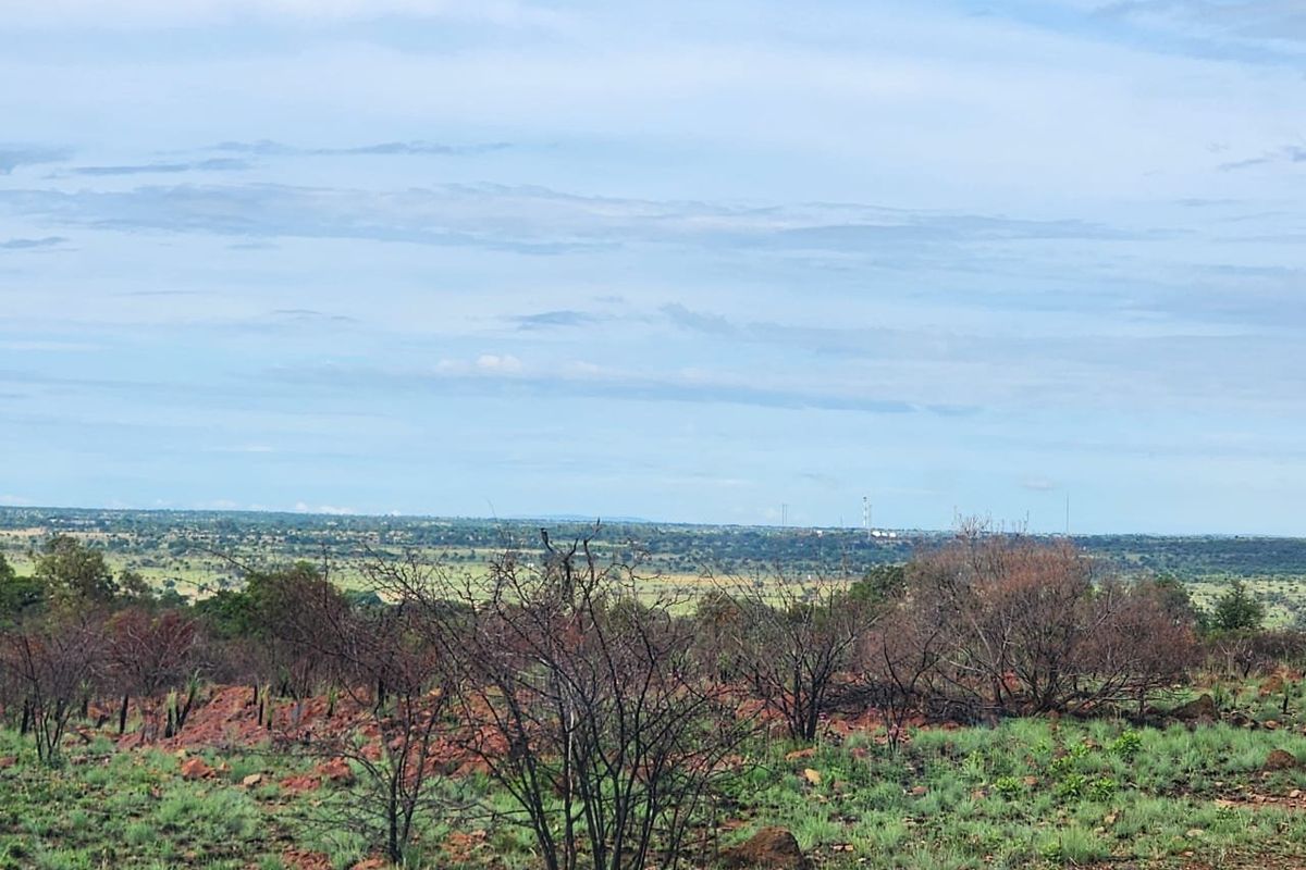 Prime 21 hectares of vacant land with borehole for sale in Dinokeng Big 5 area - Photo 5