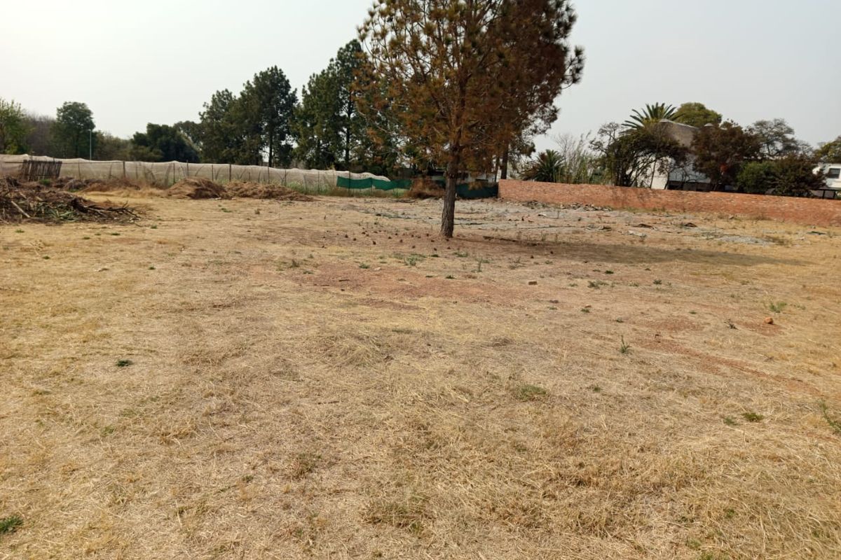 Vacant Land / Plot to Rent in Glen Austin - Photo 3