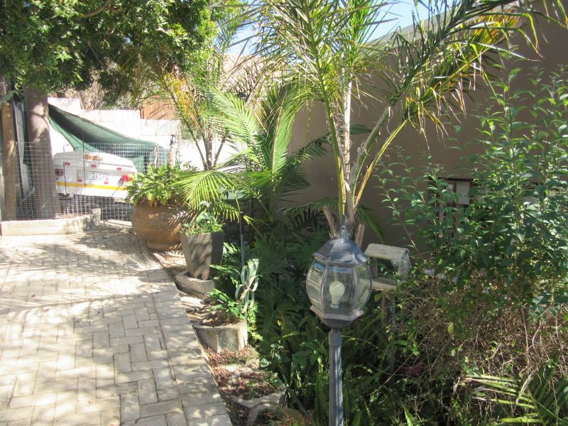 A paved garden walkway bordered by established greenery, palm trees, and a boundary wall, featuring a decorative garden lamp.