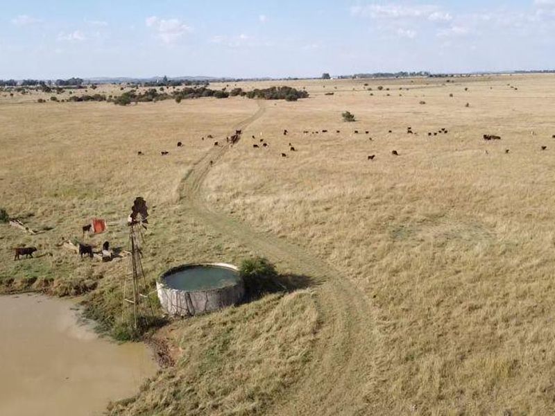 Lakeside Canal Farm In Full Production!! Water Rich Farm ! - Photo 2