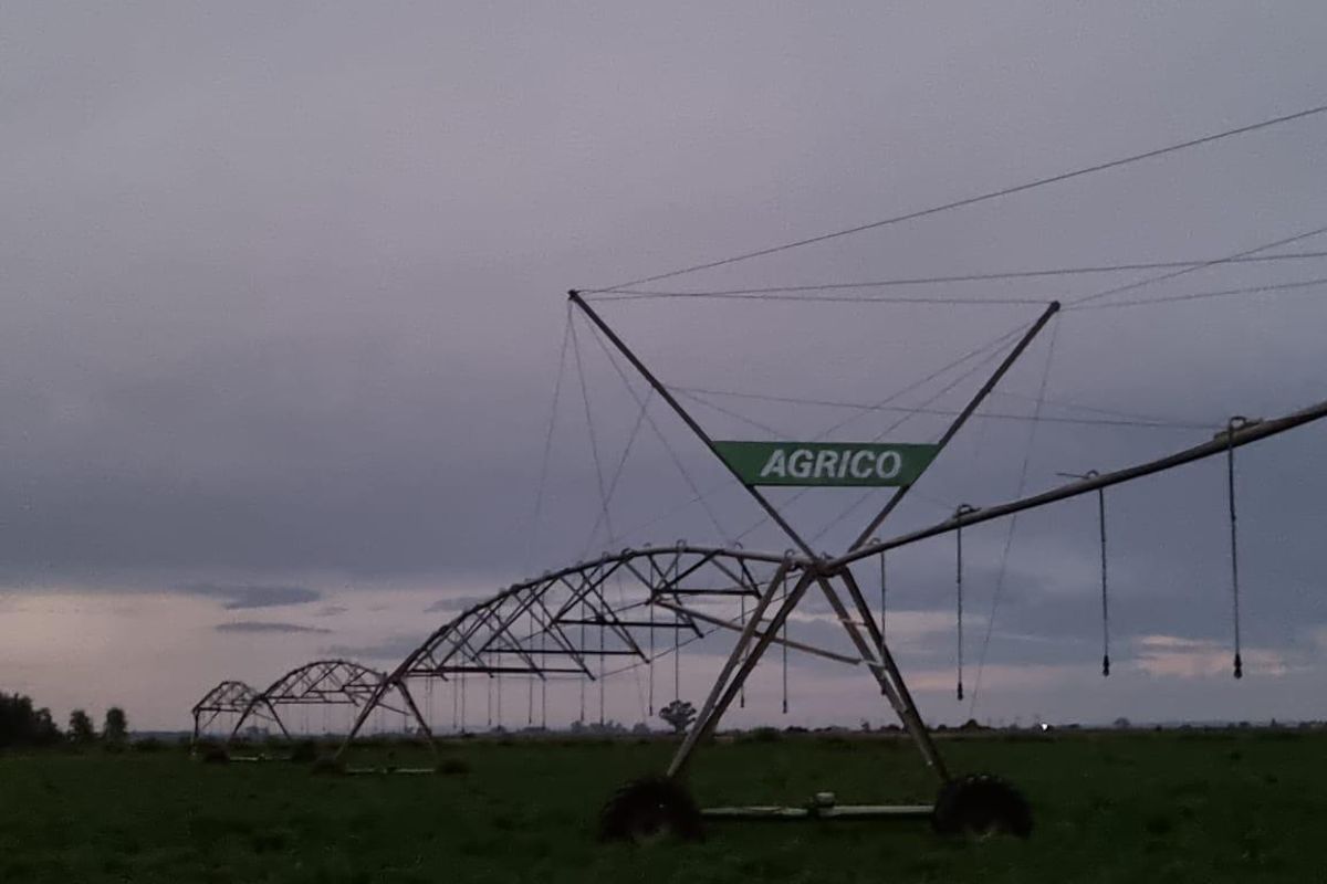 Lakeside Canal Farm In Full Production!! Water Rich Farm ! - Photo 5