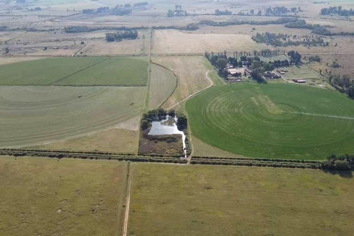 Lakeside Canal Farm In Full Production!! Water Rich Farm ! - Photo 4