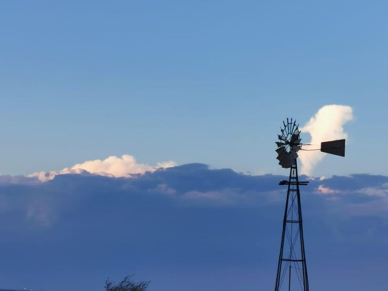 Lakeside Canal Farm In Full Production!! Water Rich Farm ! - Photo 8