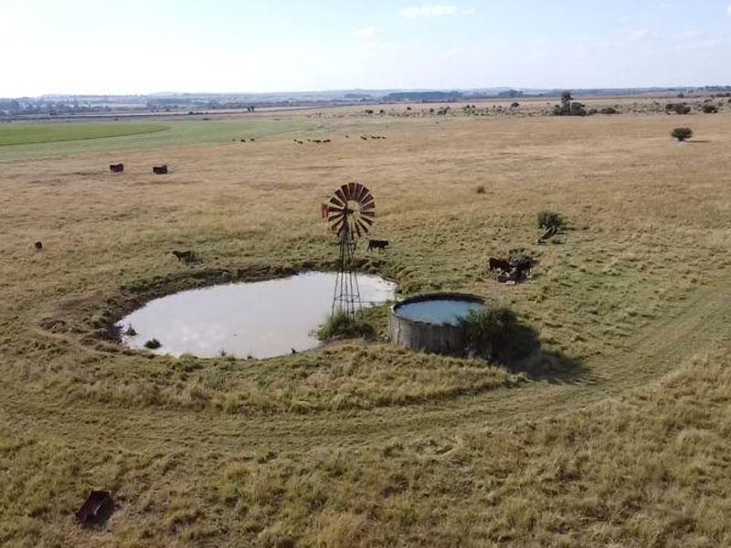 Lakeside Canal Farm In Full Production!! Water Rich Farm ! - Photo 1