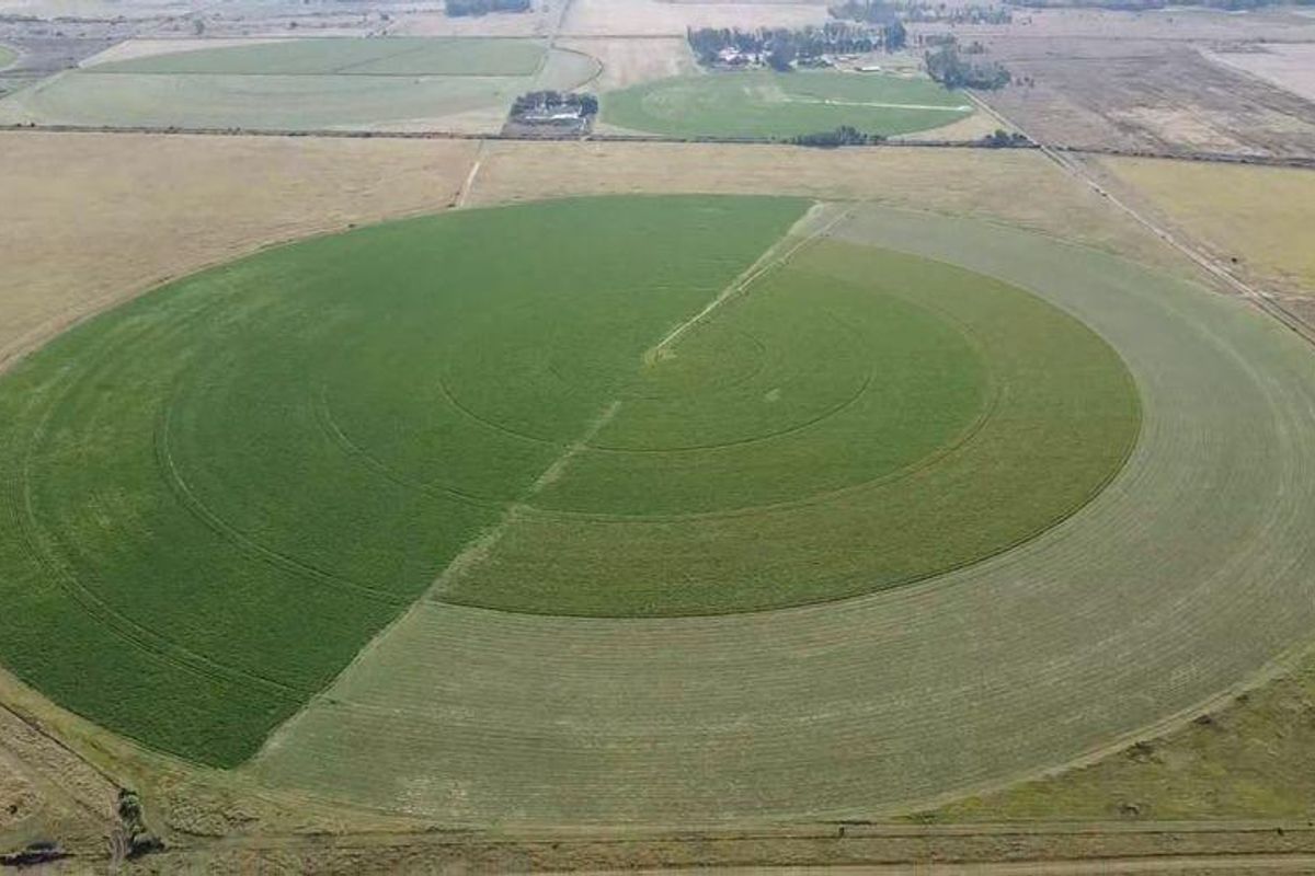 Aerial view of a large circular agricultural field featuring a center-pivot irrigation system on a rural farm property.