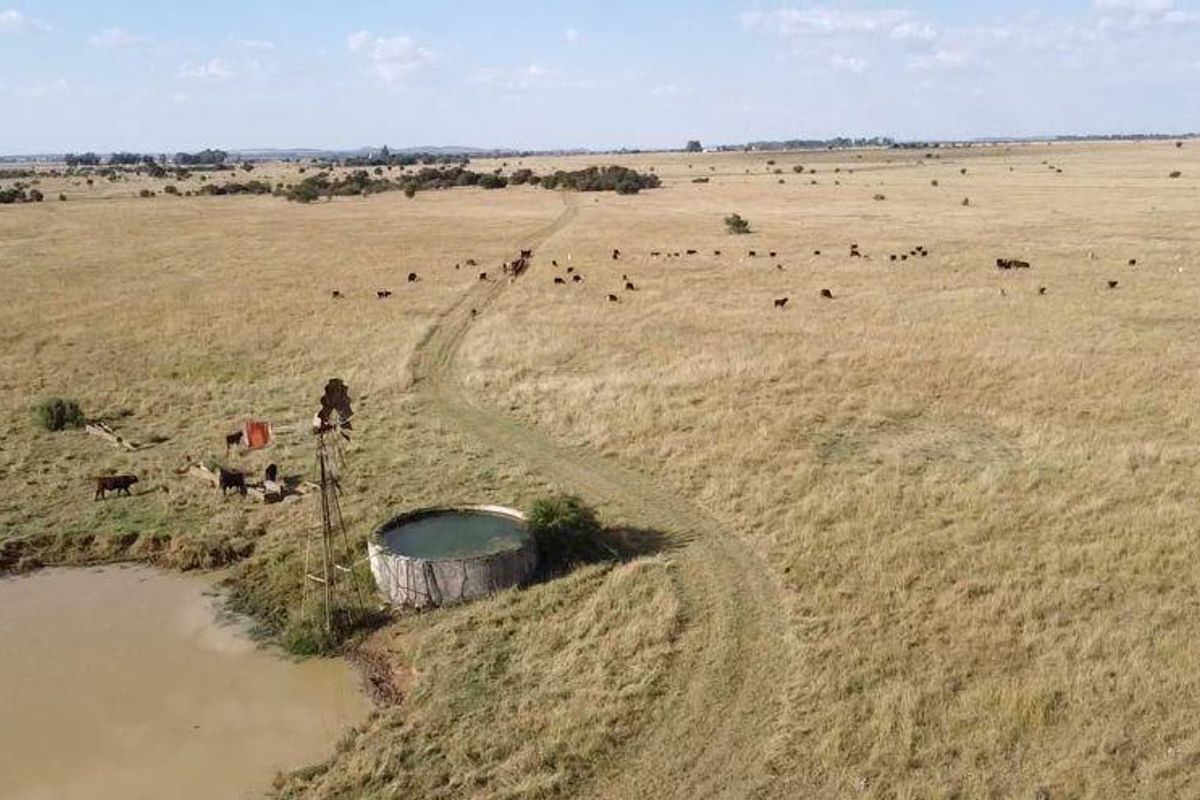 Aerial view of expansive farm grazing land featuring a traditional windmill and circular water reservoir for livestock.