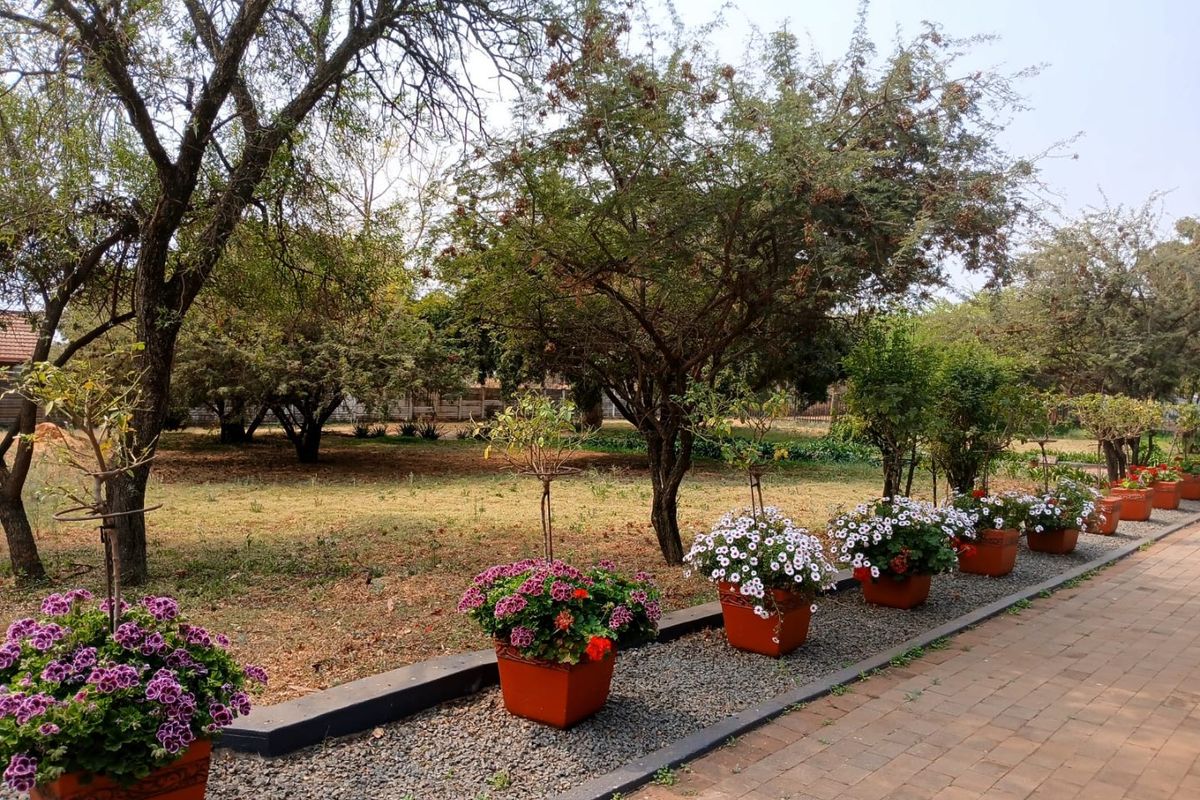 Fantastic Investment! Modern Living with Multiple Income Streams in a Peaceful Rural Setting - Photo 2