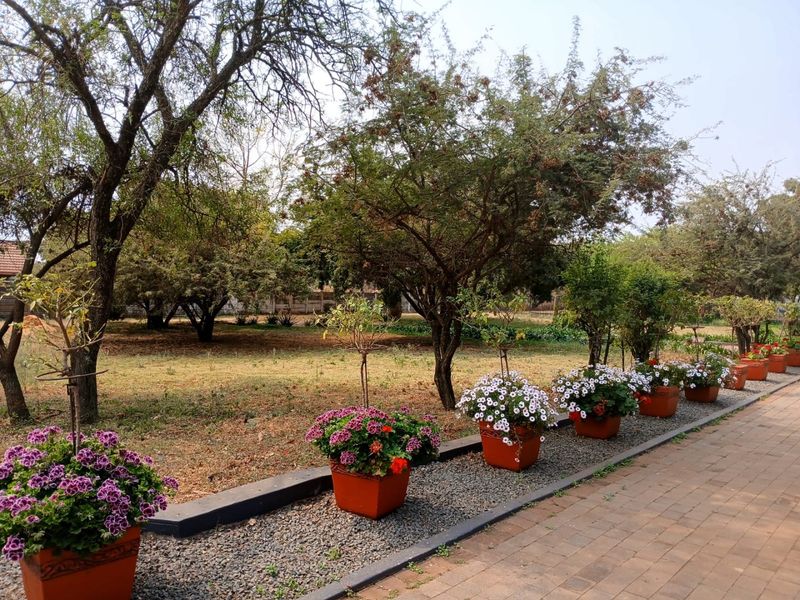 Fantastic Investment! Modern Living with Multiple Income Streams in a Peaceful Rural Setting - Photo 2