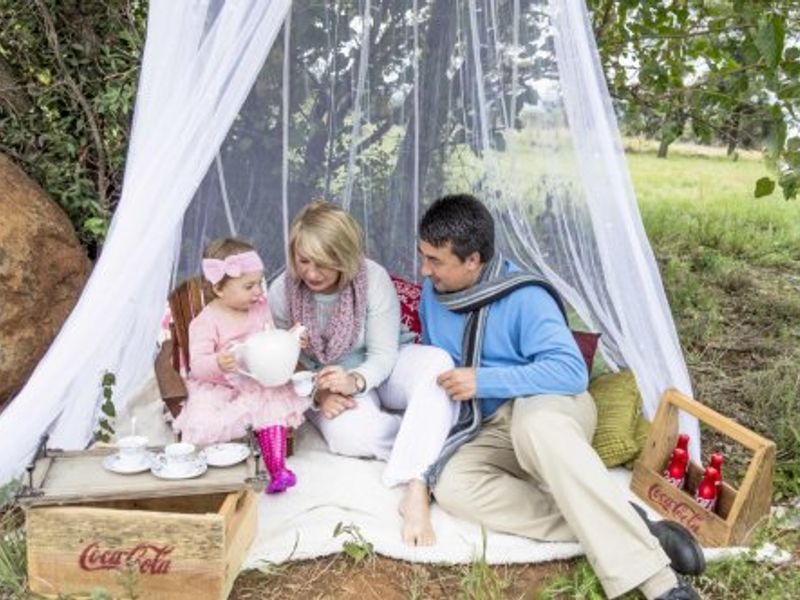 1312m2 Vacant Land in La Camargue - Photo 5