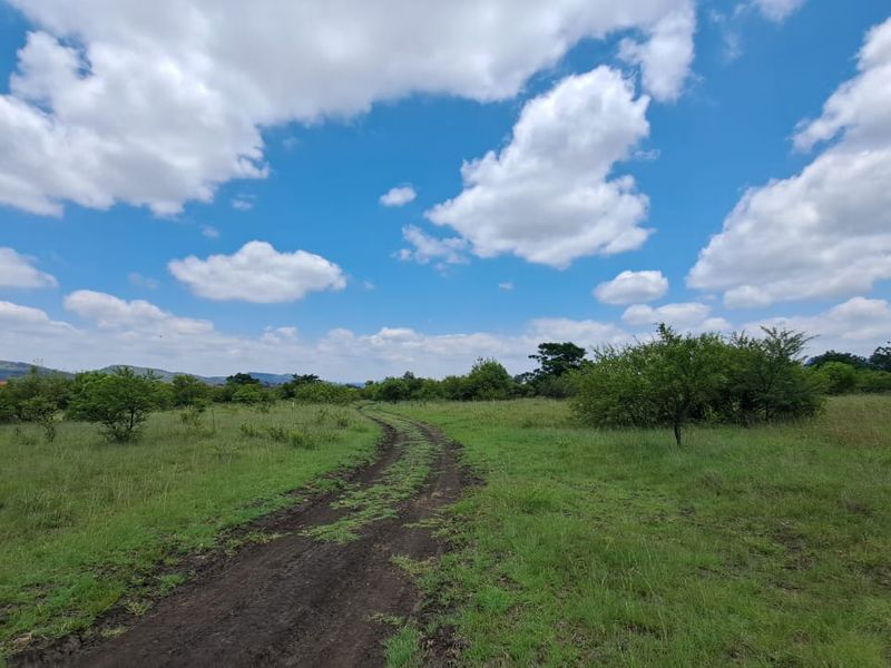 1312m2 Vacant Land in La Camargue - Photo 10