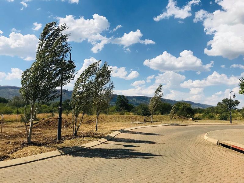 1312m2 Vacant Land in La Camargue - Photo 9