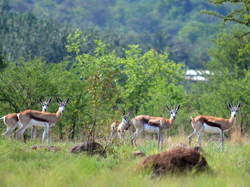 1312m2 Vacant Land in La Camargue - Photo 7