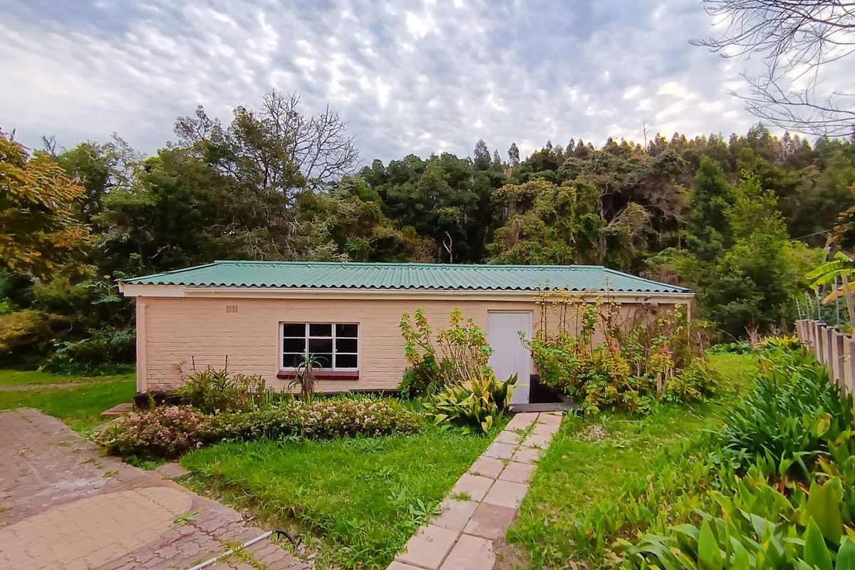 Potential, Potential, Potential - Photo 4