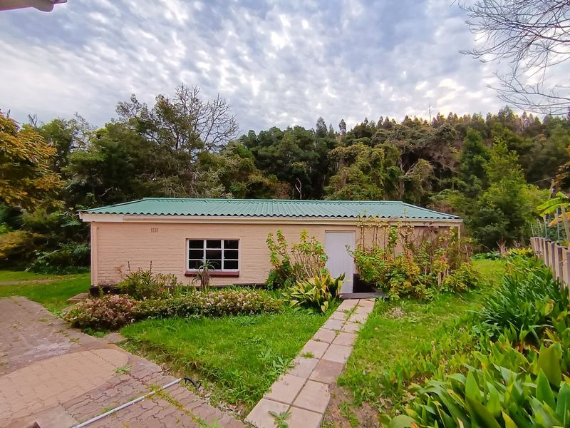 Potential, Potential, Potential - Photo 4