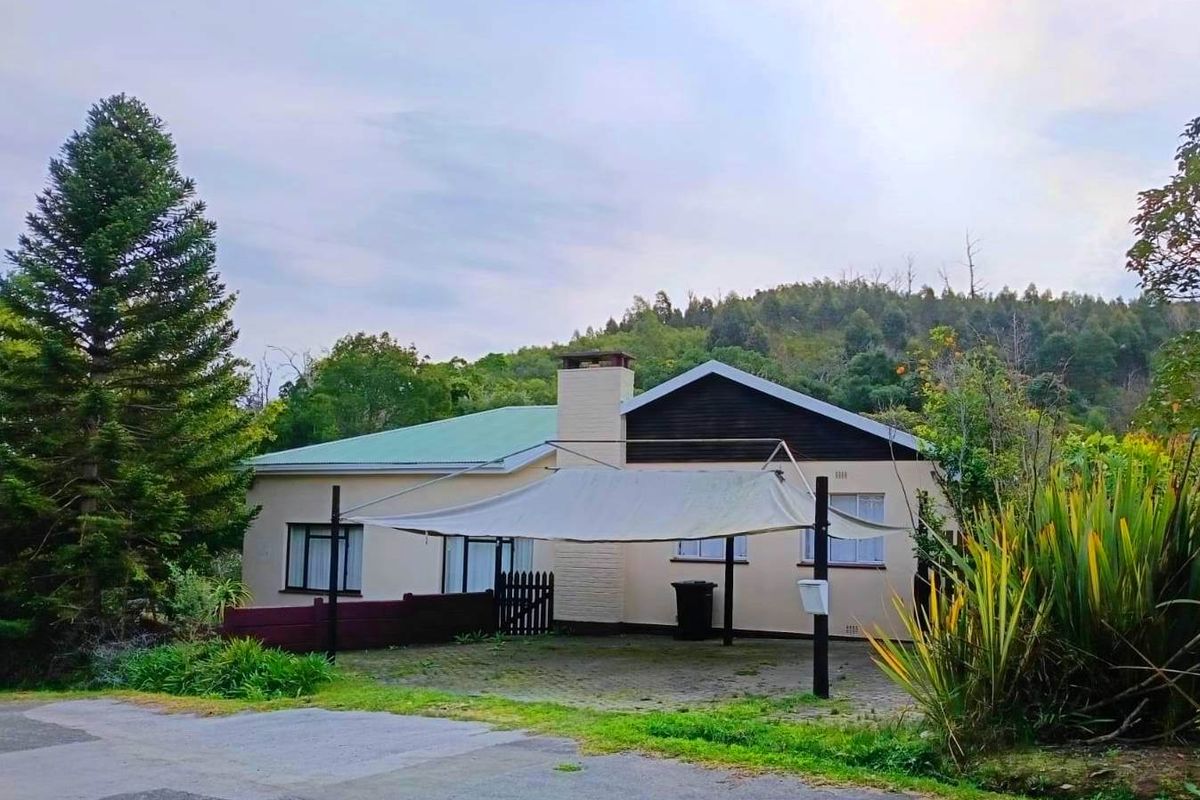 Potential, Potential, Potential - Photo 2